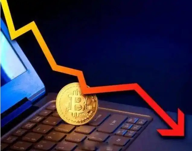 A modern mining farm showcasing advanced mining rigs